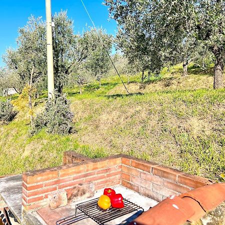 Casa Pozzi Villa Capannori Kültér fotó
